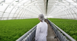 Postgraduate agricultural science: entry requirements explained