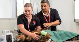 The importance of upskilling