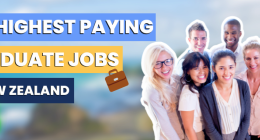 100 highest-paying graduate jobs in New Zealand [2023]