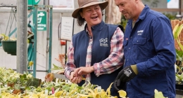 The Importance of Networking – Building Connections for Career Success